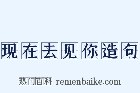 现在去见你造句是什么意思的图片